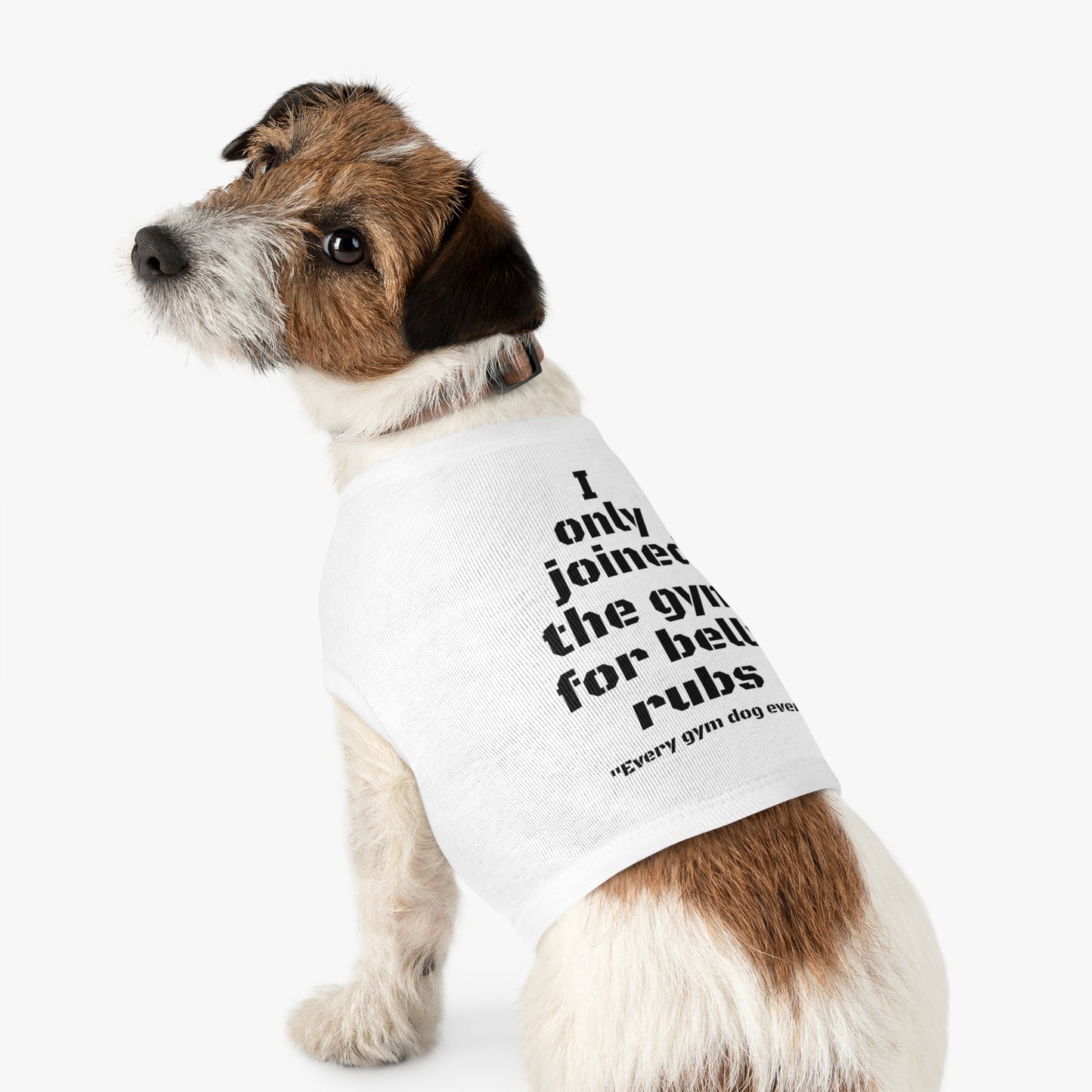 Fido's Tanks