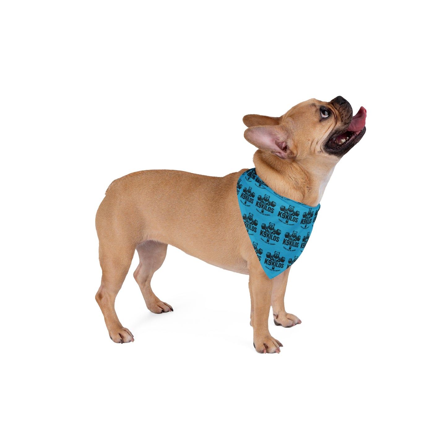 Pet Bandana with Logo