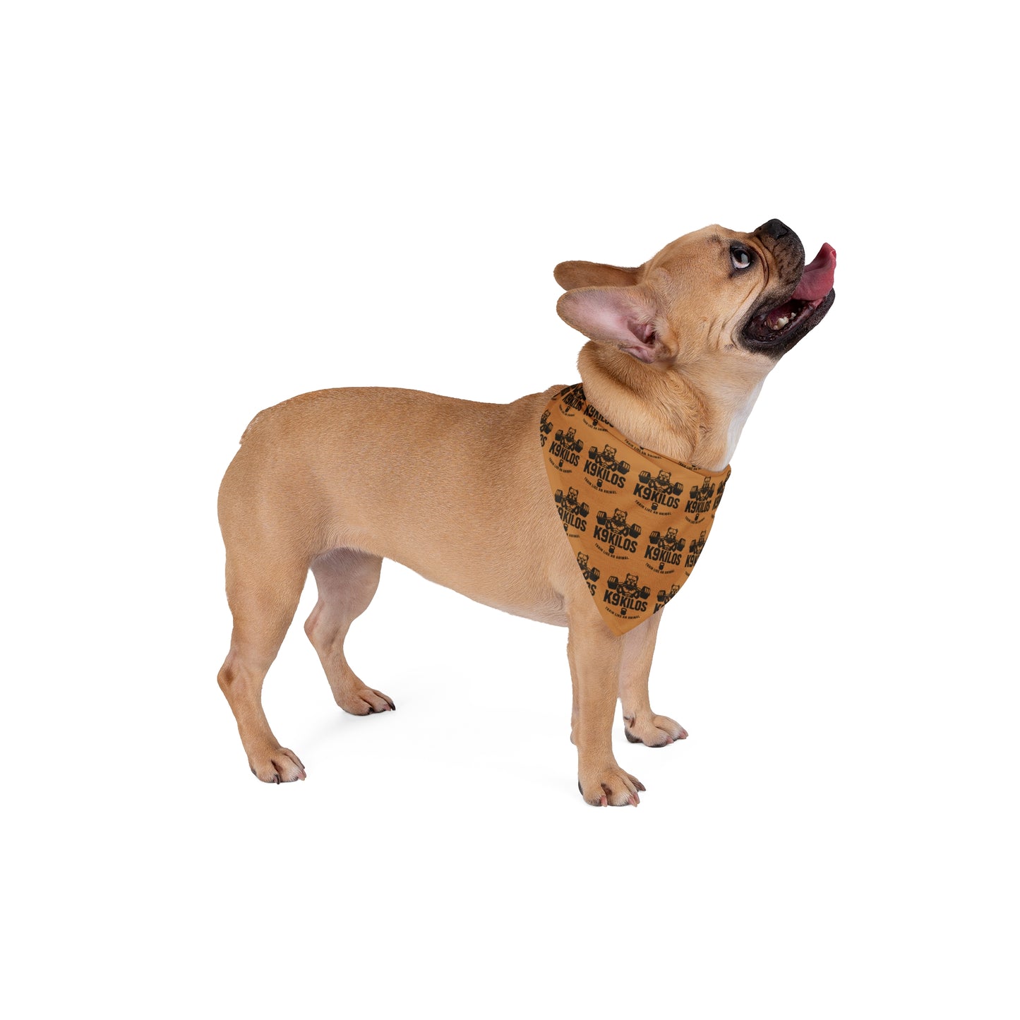 Pet Bandana with Logo