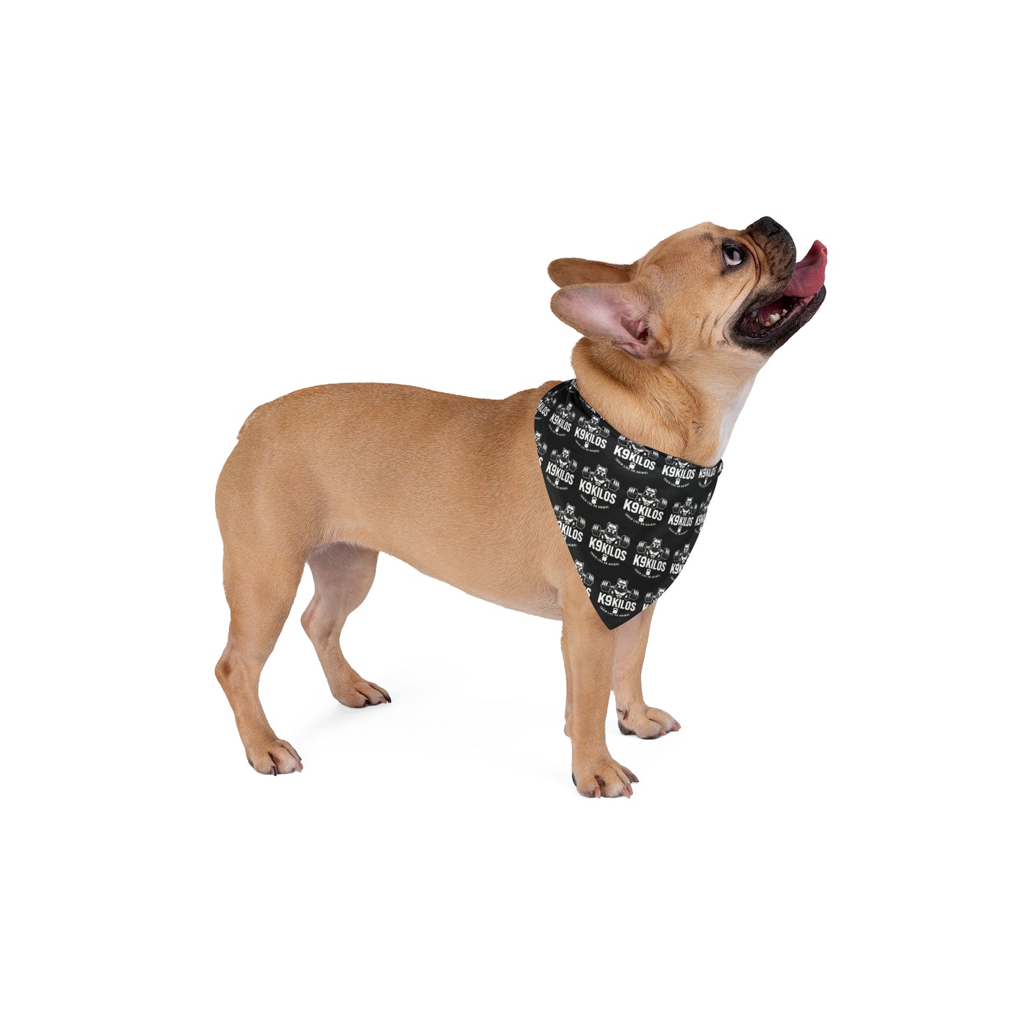 Pet Bandana with Logo