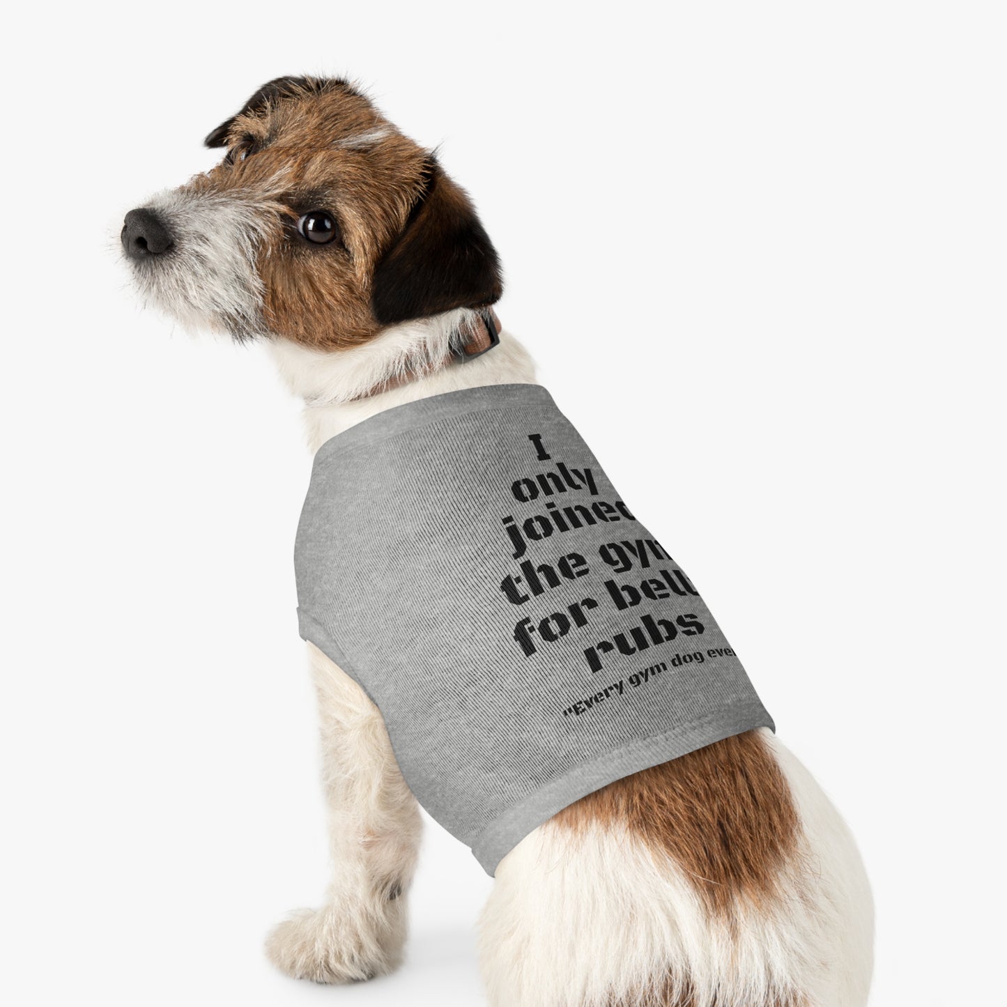 Fido's Tanks