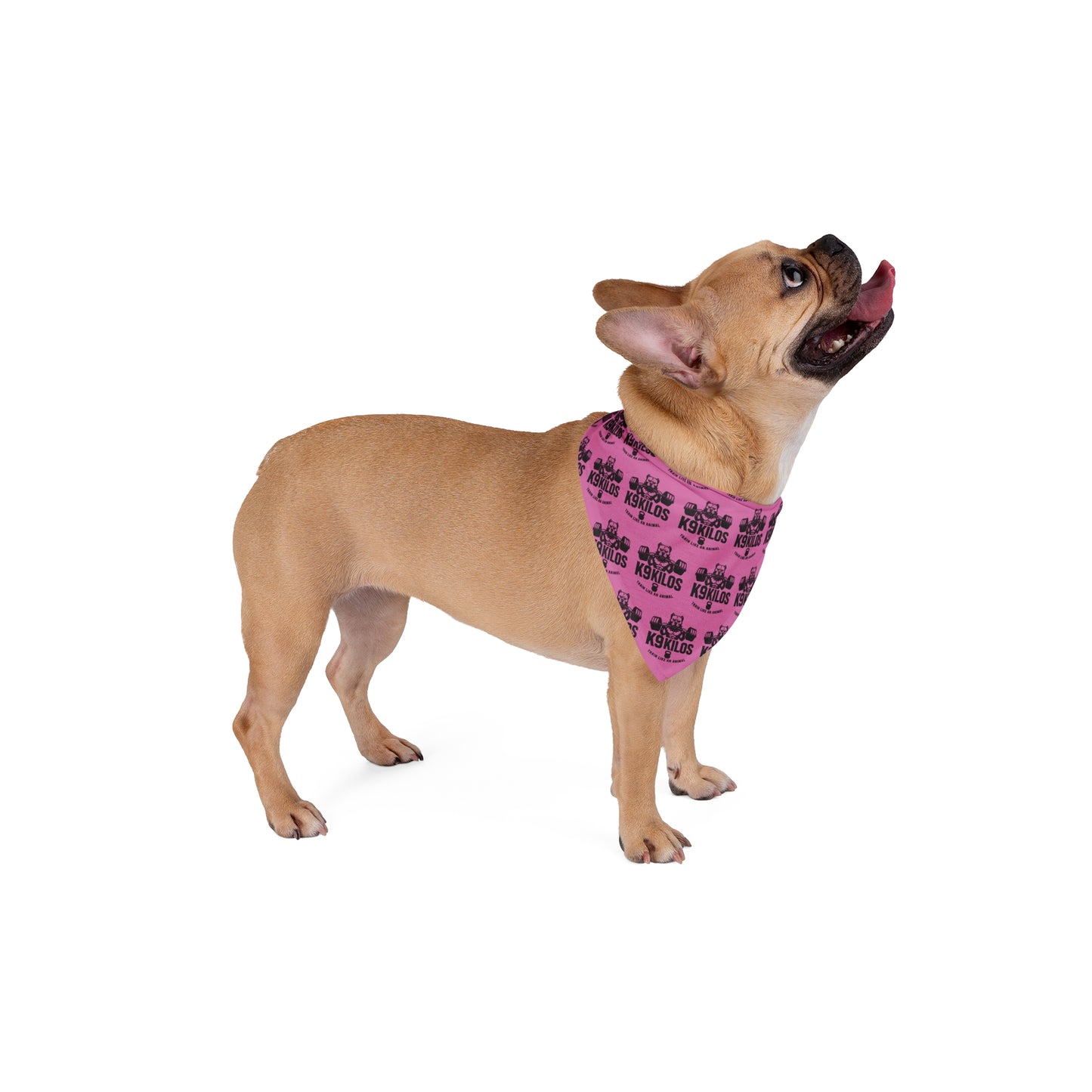 Pet Bandana with Logo