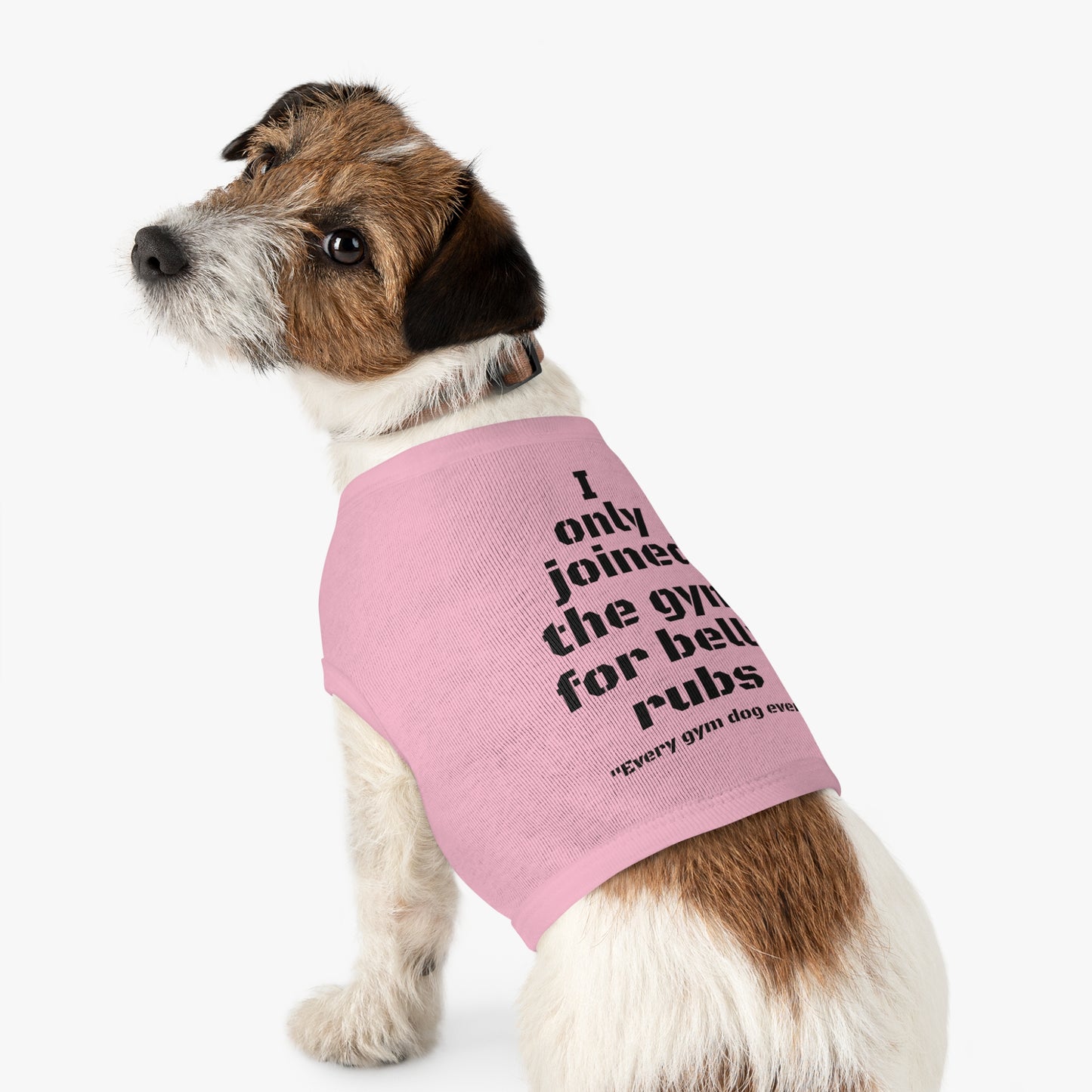 Fido's Tanks