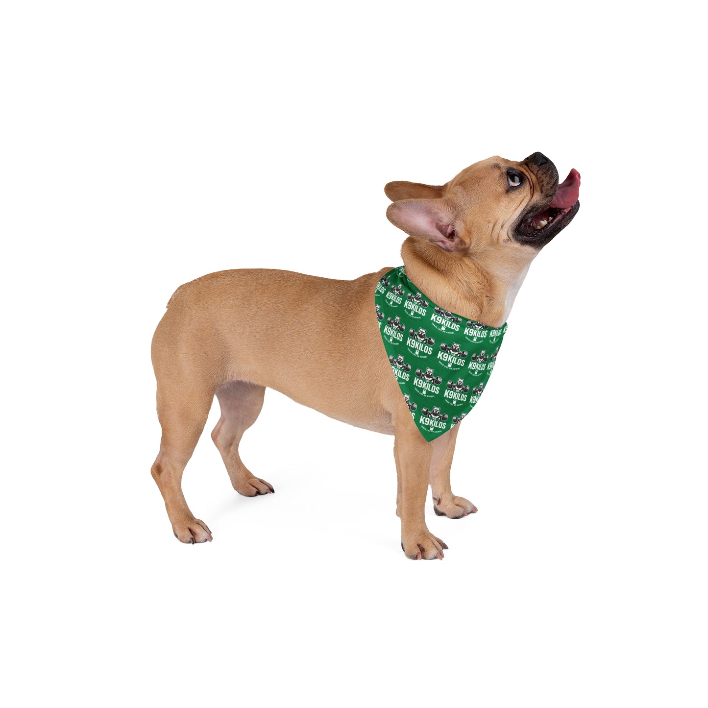 Pet Bandana with Logo