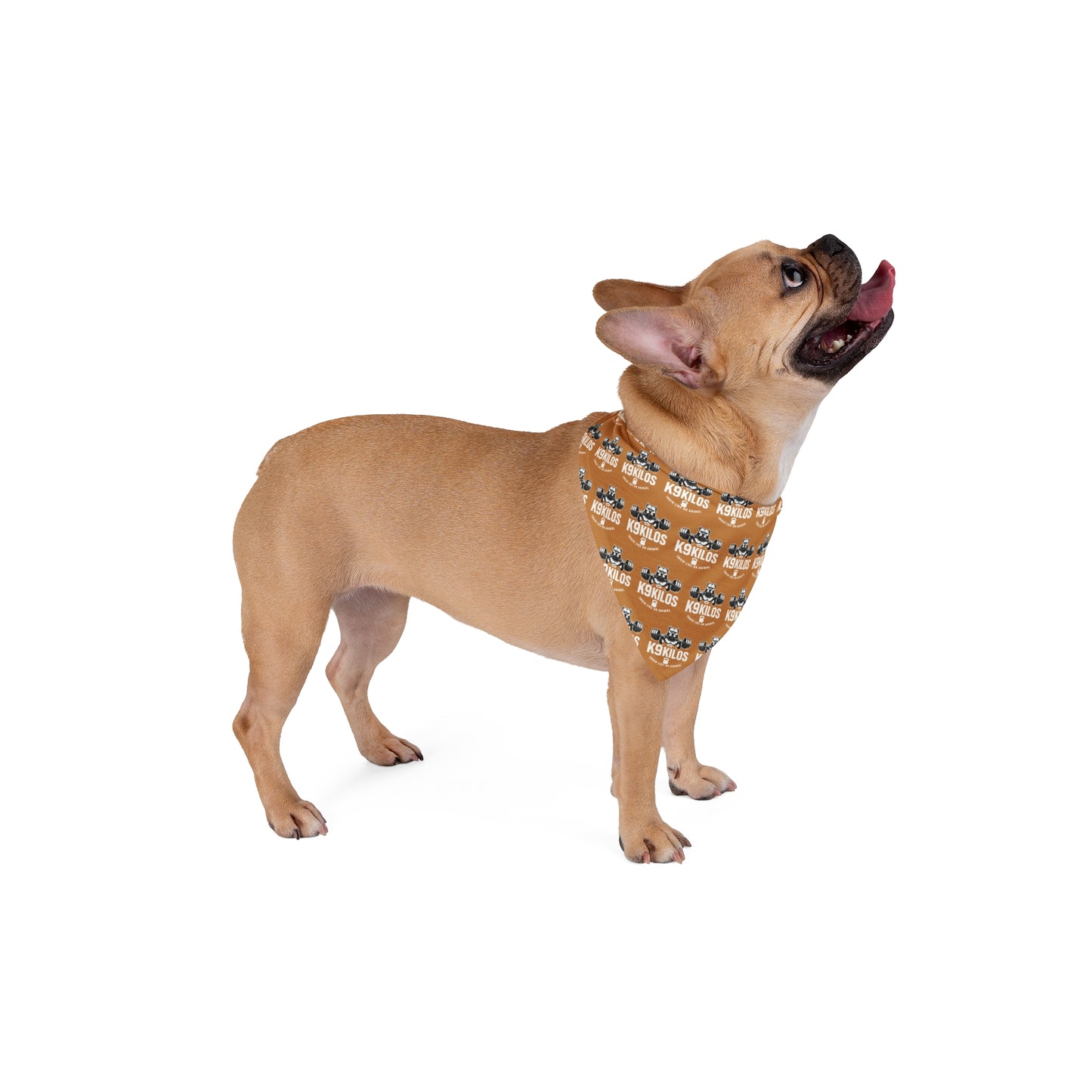 Pet Bandana with Logo