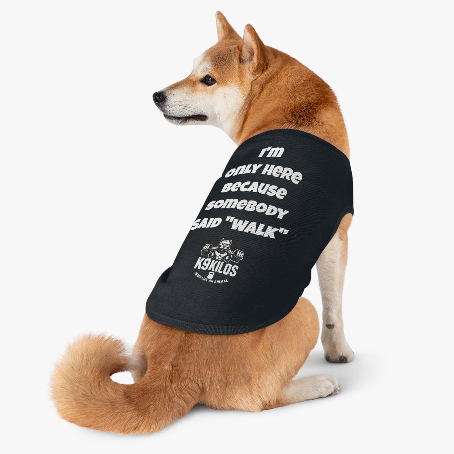 Fido's Drip