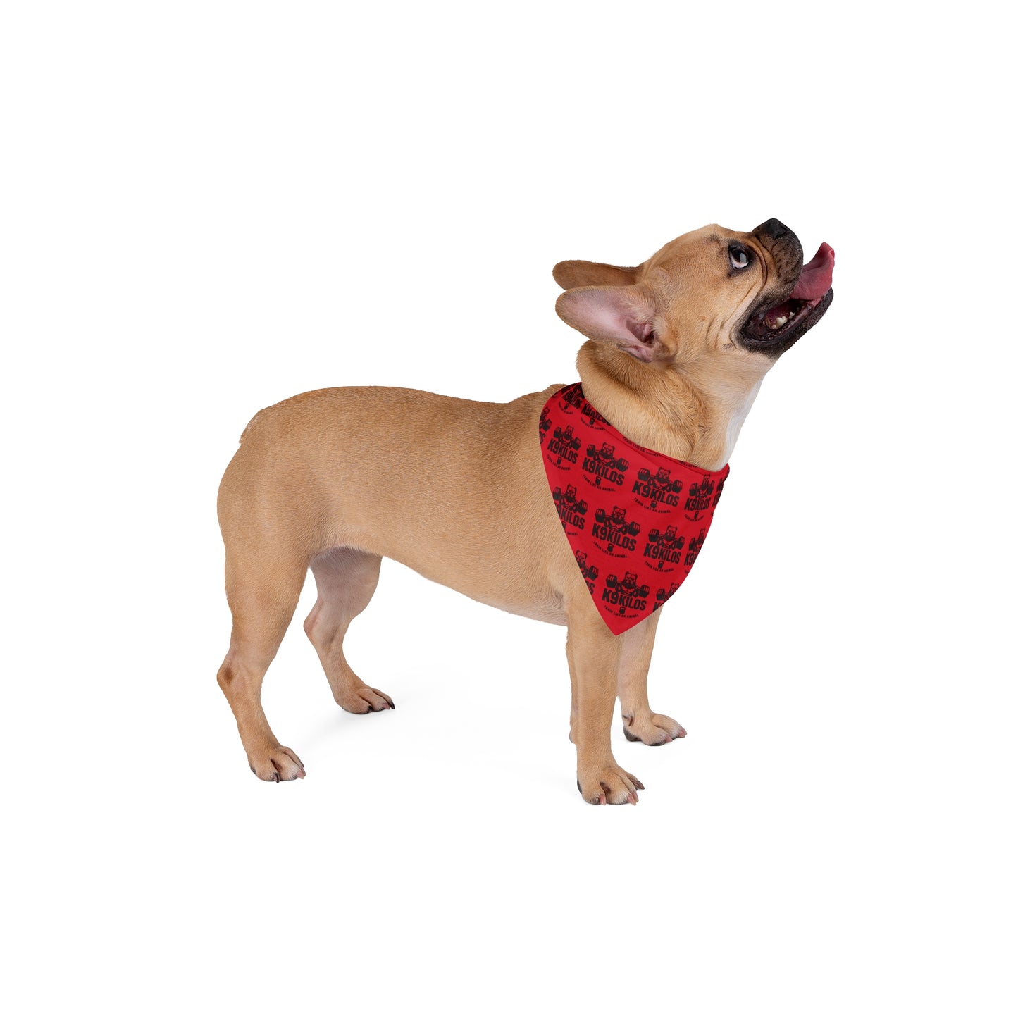 Pet Bandana with Logo