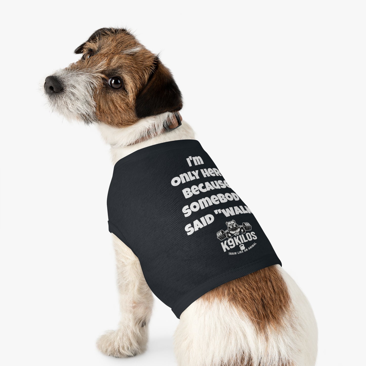 Fido's Drip
