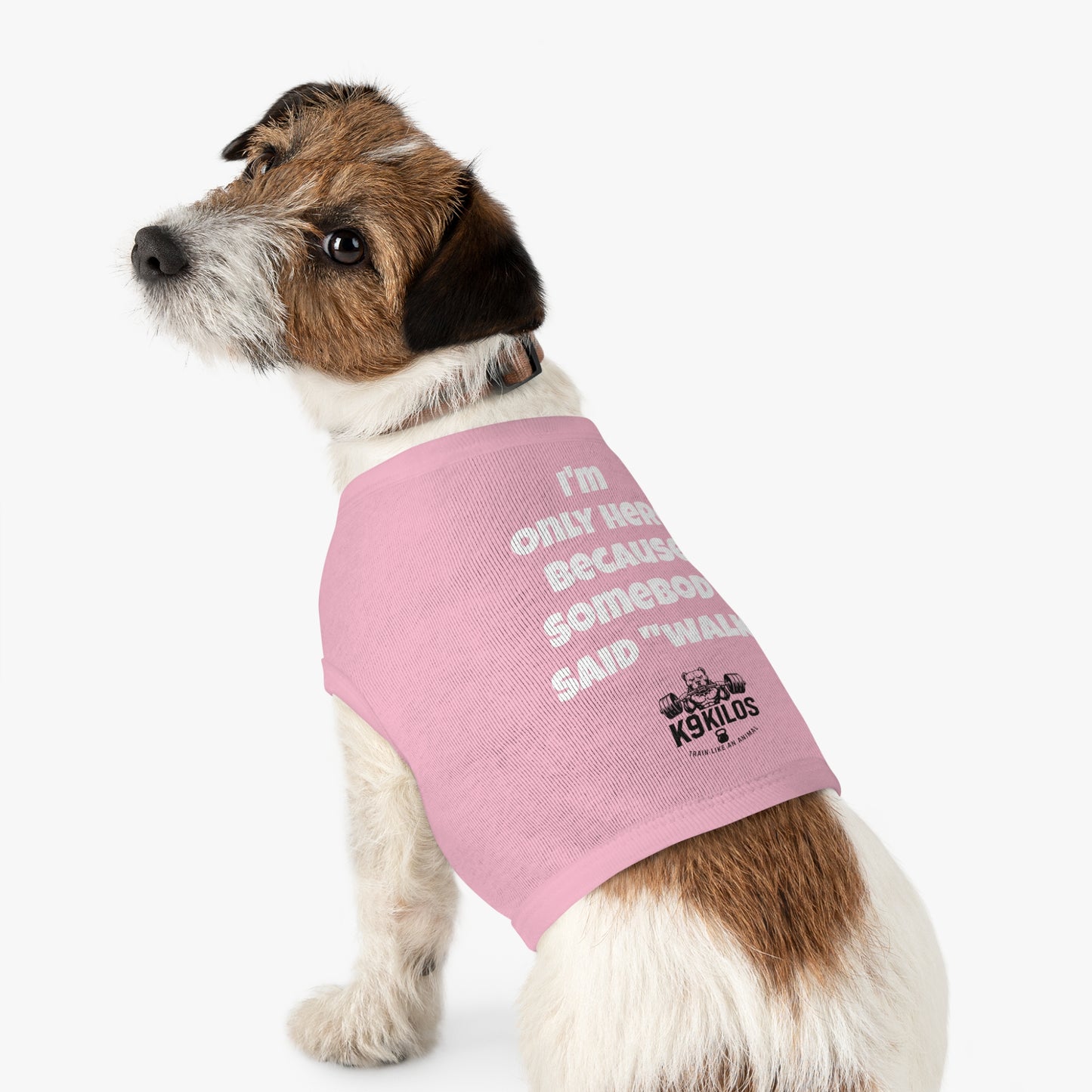 Fido's Drip