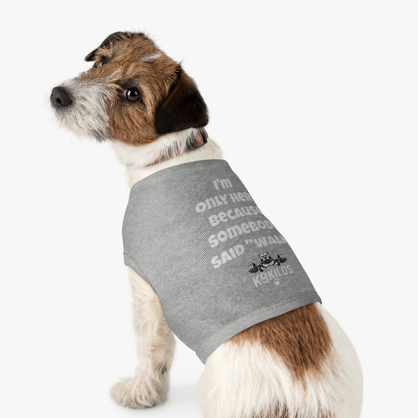 Fido's Drip